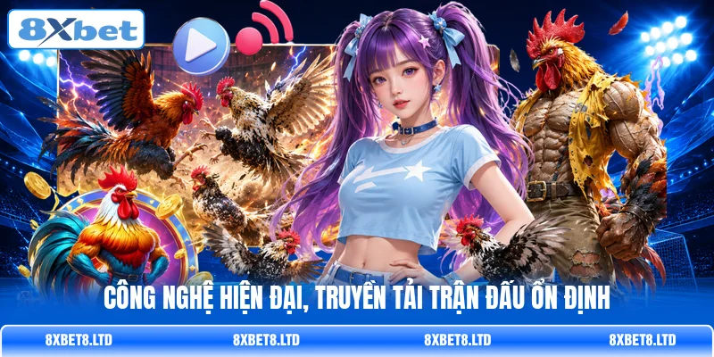 Công nghệ hiện đại, truyền tải trận đấu ổn định