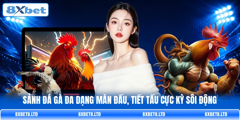 Sảnh đá gà đa dạng màn đấu, tiết tấu cực kỳ sôi động